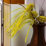 아파트 34 Yueksel Garden 앙카라