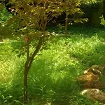 아파트 34 Yueksel Garden *