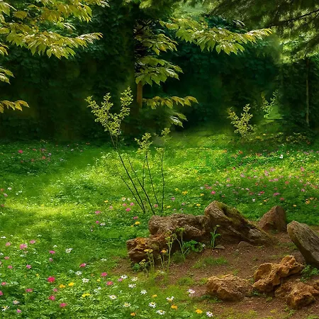 Διαμέρισμα 34 Yueksel Garden *