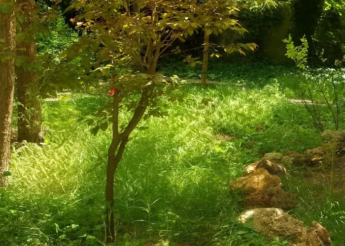 アパート 34 Yueksel Garden *