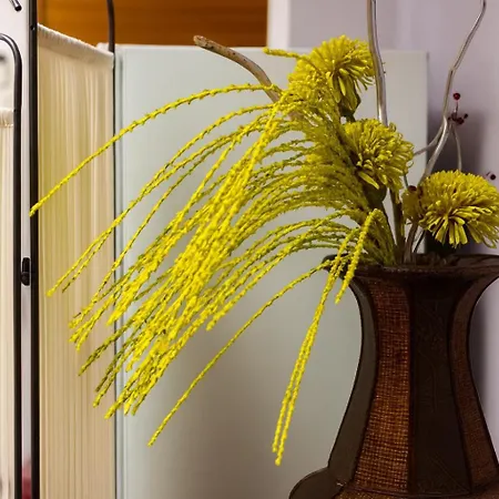 شقة 34 Yueksel Garden أنقرة